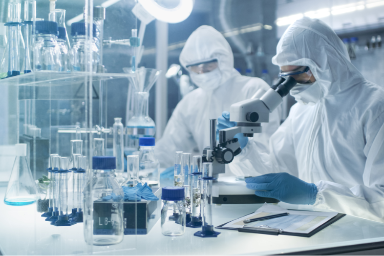 藥品質(zhì)量標(biāo)準(zhǔn)體系！